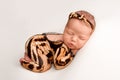 Sleeping newborn girl in the first days of life on a white background. Image of a tiger cub. Royalty Free Stock Photo