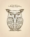 Sleeping owl hand drawn graphic illustration, front view