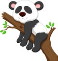 Sleeping panda cartoon