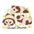 Sleeping pandas and the inscription sweet dreams on a white background. Vector graphics Royalty Free Stock Photo