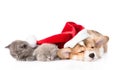 Sleeping Pembroke Welsh Corgi puppy dog with santa hat and two kitten. isolated on white Royalty Free Stock Photo