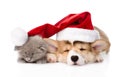 Sleeping Pembroke Welsh Corgi puppy and kitten with red santa hat. isolated Royalty Free Stock Photo