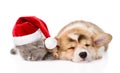 Sleeping Pembroke Welsh Corgi puppy and kitten with santa hat. isolated