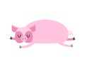 Sleeping pig. Farm Animal is sleeping. Sleepy swine Royalty Free Stock Photo