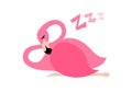 Sleeping pink flamingo vector illustration.