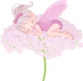 Sleeping Pixy Fairy Royalty Free Stock Photo