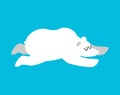 Sleeping polar bear. Arctic and Antarctic animals sleep. Sleepy