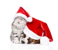 Sleeping puppy and scottish kitten in red santa hats. isolated Royalty Free Stock Photo