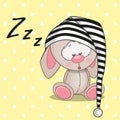 Sleeping rabbit Royalty Free Stock Photo