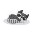 sleeping raccoon cartoon curled up. Flat vector illustration isolated