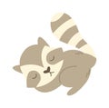 Sleeping raccoon flat icon Dreaming Cute cartoon baby animal