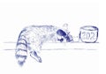 Sleeping raccoon and a mug of coffee