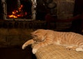 Sleeping red cat near fireplace, fire. Cat as symbol of comfort, warmth, tranquility in the home Royalty Free Stock Photo