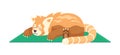 Sleeping red panda semi flat color vector character