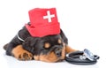 Sleeping rottweiler puppy dog wearing nurses medical hat and stethoscope on his neck. on white background