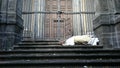 Sleeping rough homeless on the stairs of the building in front of the gate