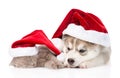 Sleeping scottish kitten and Siberian Husky puppy with santa hat. isolated Royalty Free Stock Photo