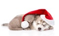 Sleeping scottish kitten and Siberian Husky puppy with santa hat. isolated Royalty Free Stock Photo