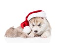 Sleeping scottish kitten and Siberian Husky puppy with santa hat. isolated on white background Royalty Free Stock Photo