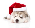 Sleeping Siberian Husky puppy with santa hat. isolated on white Royalty Free Stock Photo