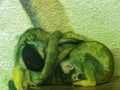 Sleeping Squirrel Monkeys