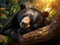 Ai Generated illustration Wildlife Concept of Sleeping sun bear Royalty Free Stock Photo