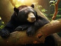 Ai Generated illustration Wildlife Concept of Sleeping sun bear Royalty Free Stock Photo
