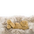 Sleeping Teddy Bear Cute baby toy Royalty Free Stock Photo