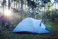 Sleeping tent woods sunrise camping. Royalty Free Stock Photo