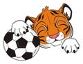 Sleeping tiger with a ball