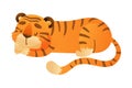 Sleeping tiger. Cute wild jungle predator animal cartoon vector illustration Royalty Free Stock Photo