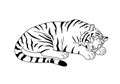 Sleeping tiger drawing Royalty Free Stock Photo
