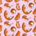 Sleeping tigers seamless pattern vector illustration isolated Royalty Free Stock Photo
