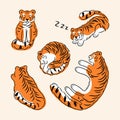 Sleeping tigers in various poses set vector illustration