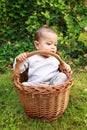 Sleepy baby boy in wicked basket