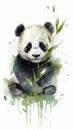 Sleepy Baby Panda Eating Bamboo Adorable Watercolor Portrait for Nursery Decor.