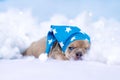 Sleepy French Bulldog puppy with nightcap lying between fluffy clouds and stars Royalty Free Stock Photo