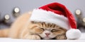 Sleepy ginger kitten in red Santa Claus hat. New Year holiday background. Generative AI