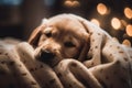 A sleepy golden retriever puppy snuggled up in a cozy blanket, with a satisfied expression on his face, ai generative