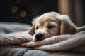 A sleepy golden retriever puppy snuggled up in a cozy blanket, with a satisfied expression on his face, ai generative