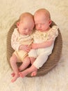 Sleepy identical twin babies Royalty Free Stock Photo