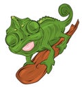 Cute chameleon cartoon