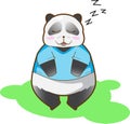 Sleepy Panda in blue shirt lsolated on white