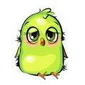 Sleepy parrot. Funny chick. Wants to sleep. Cute and funny baby bird. The isolated object on a white background