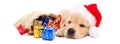 Sleepy Puppy With Christmas Gifts - Horizontal Banner Royalty Free Stock Photo