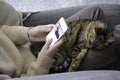 Sleepy satisfied tabby cat on lap. Woman looks at her phone Royalty Free Stock Photo