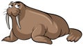 Sleepy walrus on white background