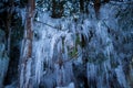 Sleet in winter forest