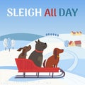 Sleigh all day fancy invitation vector poster Royalty Free Stock Photo