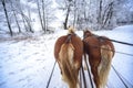 sleigh ride in Masuria Royalty Free Stock Photo